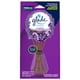 thumbnail image 1 of Varitas Aromatizantes Glade Campos de Lavanda 100 ml Frasco y 6 Varitas, 1 of 4