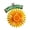 1, variant on Miniature Flower Pinwheels Outdoor Wind Spinner Yard Garden Pinwheels Colorful Flower Windmill Decorative