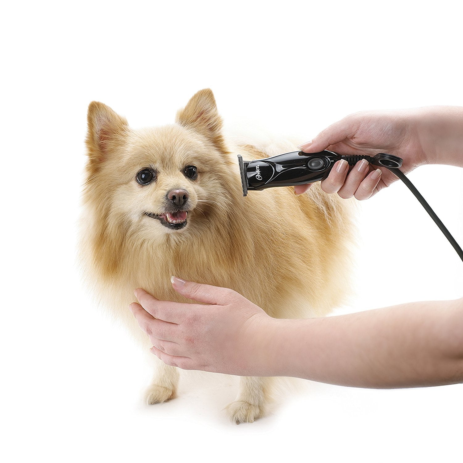 oster animal care pro trimmer