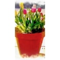 thumbnail image 2 of CafePress - Pot Of Tulips - Large Beach Towel, Soft 30"x60" Towel with Unique Design, 2 of 3