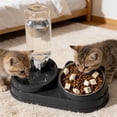 thumbnail image 5 of SHENGXINY Cat Bowls Set - 2 in 1 Pet Feeding Water Bowl, All-in-One Food Water Feeder for Dogs and Cats Gray 11x5.63x2.95in, 5 of 6
