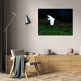 thumbnail image 3 of Alan Hausenflock 44x31 Gallery Wrapped Canvas Wall Art Titled - Egret in Flight I, 3 of 4