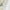 White, variant on Sigee Colorful Autumn for Women's Athletic Shorts High Waisted Running Shorts Pocket Sporty Short Gym Elastic Workout Shorts-Small