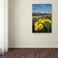 thumbnail image 3 of Trademark Fine Art 'Methow Valley Wildflowers III' Canvas Art by Alan Majchrowicz, 3 of 3