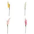 thumbnail image 1 of 4 piezas de gdiolos artificiales hojas es decoración hogar multicolor-02 Gloria Flor artificial gladiolo, 1 of 9