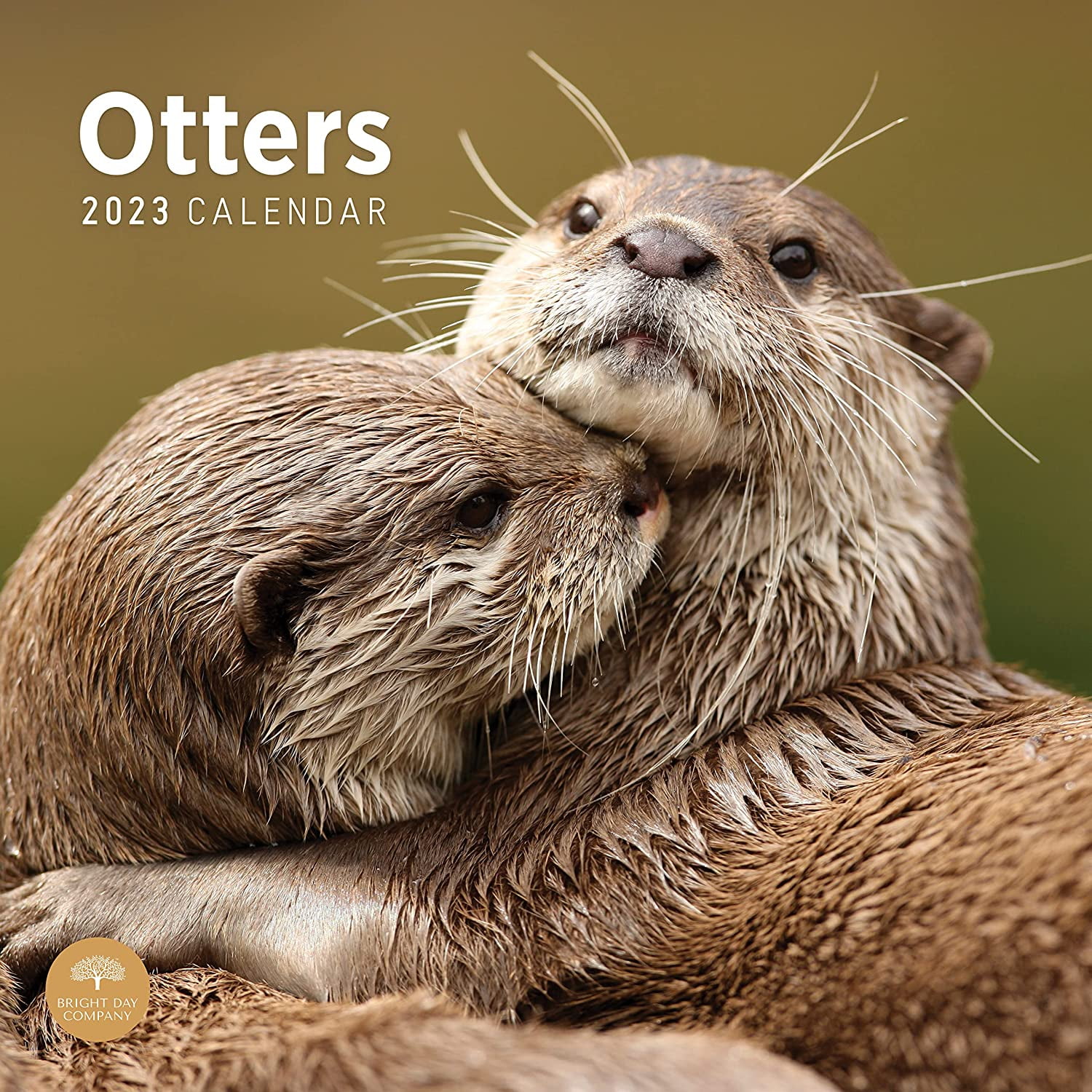 2023 Otters Monthly Wall Calendar by Bright Day, 12 x 12 Inch, Cute