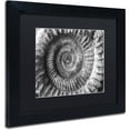 thumbnail image 2 of Trademark Fine Art "Amonita 2" Canvas Art by Moises Levy Black Matte, Black Frame, 2 of 4
