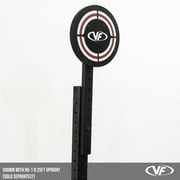 Valor Fitness 14 Wall Ball Target with Extension for Valor Rigs and Power Cage Workout