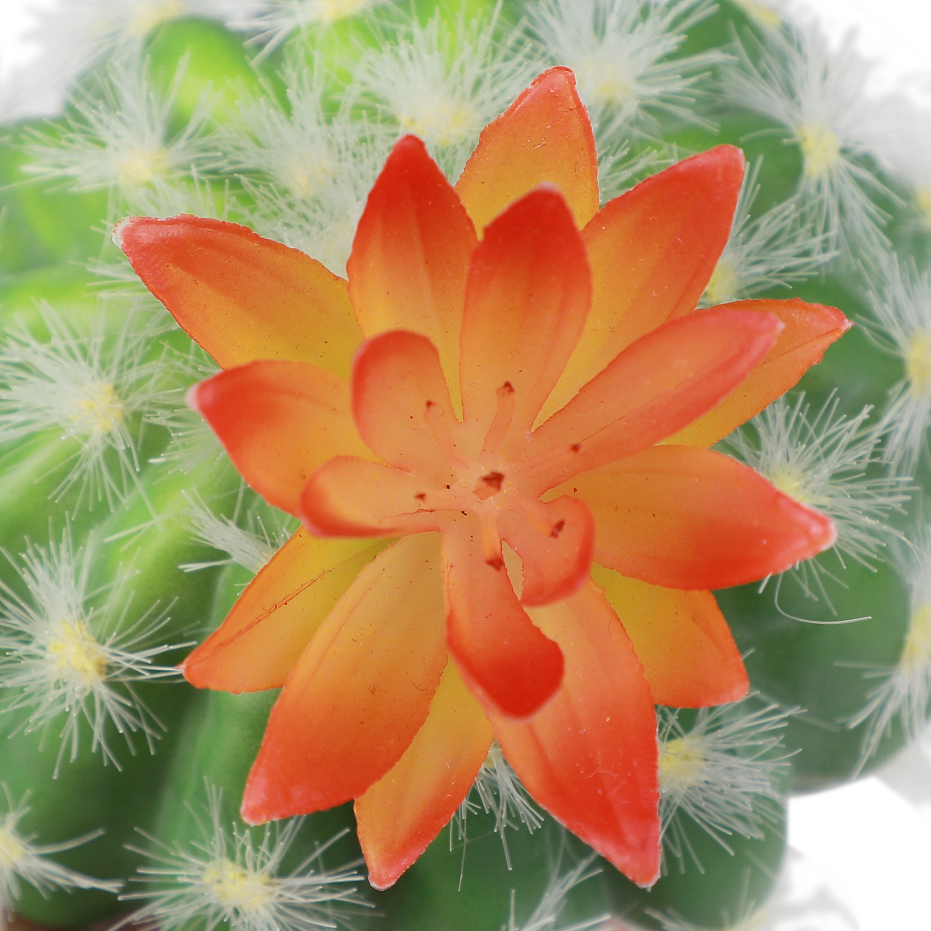 Mainstays 6.45" Artificial Green Cactus with Orange Flower Pick