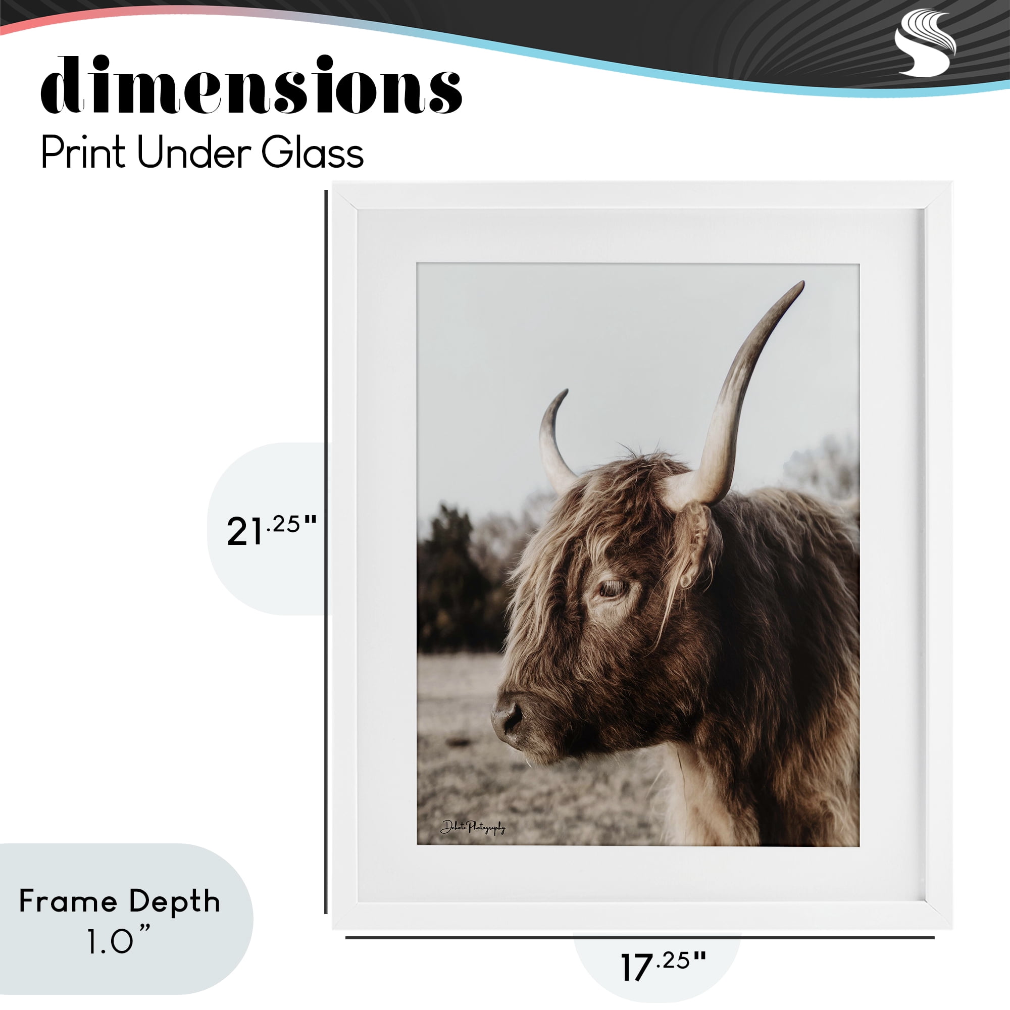 Stupell Industries Horned Cattle Peering White Framed Print Under Glass, design by Dakota Diener