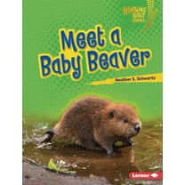 Lightning Bolt Books (R) -- Baby North A Meet a Baby Beaver, (Hardcover)