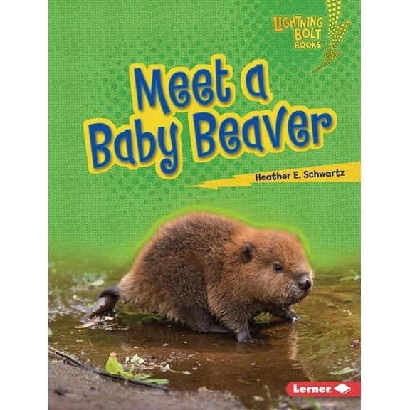 Lightning Bolt Books (R) -- Baby North A Meet a Baby Beaver, (Hardcover)