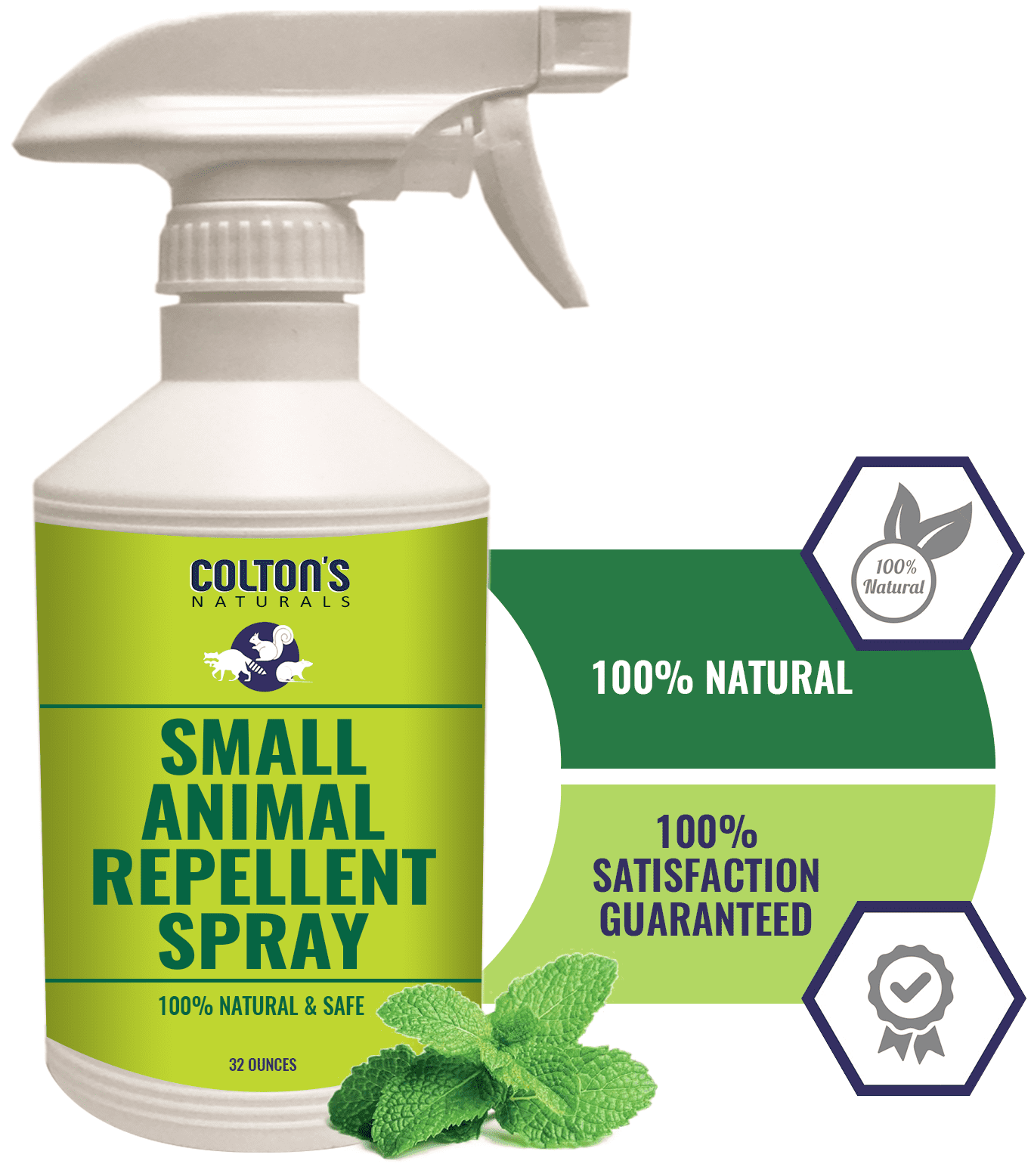 squirrel repellent squirrel repellent