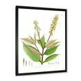 thumbnail image 2 of Designart 'Ancient Brazilian Plant V' Traditional Framed Art Print, 2 of 4