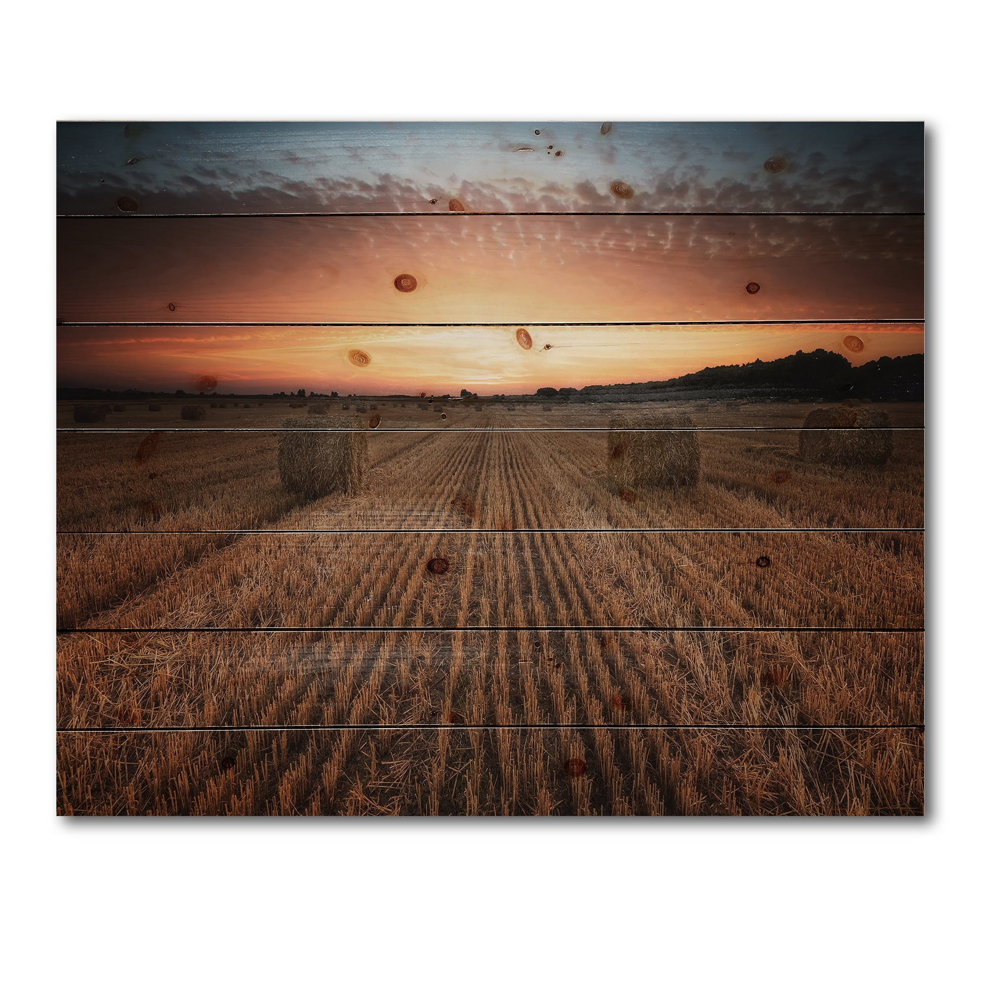 Designart 'A Field Full of Hay Bales At Sunset Landscape' Farmhouse Print on Natural Pine Wood