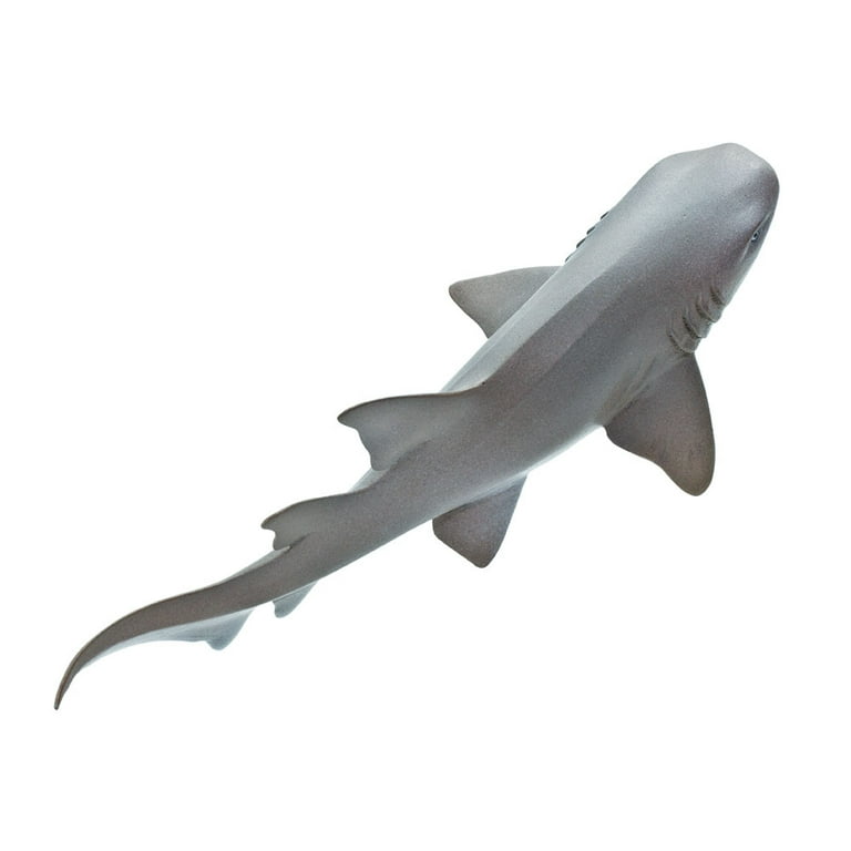 Nurse shark sales toy