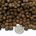 thumbnail image 2 of California Blackworm Floating Pellets Discus, Cichlids, Tropicals Apx 3mm-1/8"...1/2-lb, 2 of 2