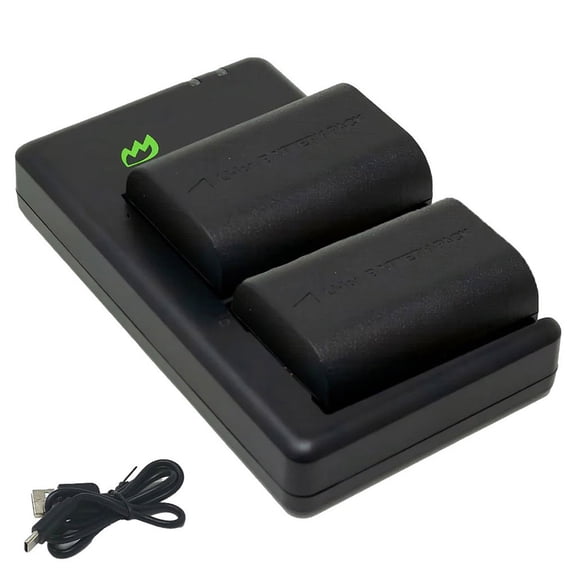 Replacement for Canon EOS 60D Battery (2-Pack, 2600mAh) and Dual USB-C Charger