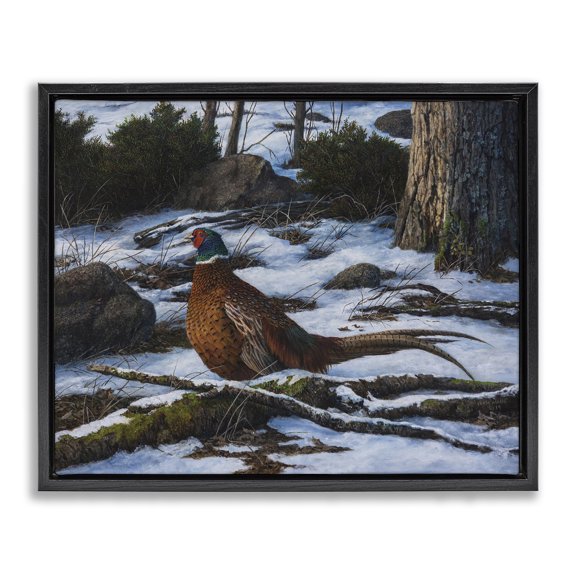 Stupell Industries Farmhouse Pheasant in Snowy Woods Black Floating Frame Canvas Art, 31 x 25, by Karla Mann