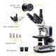 thumbnail image 3 of Microscopio compuesto trinocular SWIFT SW350T Aumento 40X-2500X Cabezal Siedentopf Etapa mecánica de dos capas de grado de investigación Cámara de 1.3mp y software Compatible con Windows y Mac, 3 of 5