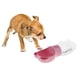 thumbnail image 4 of Botella de agua portátil para mascotas Perros Perros  para Gloria Botella de agua potable para mascotas, 4 of 9
