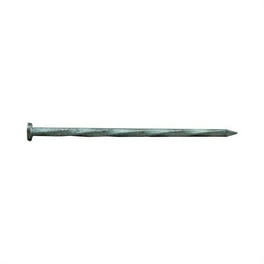 Pro-Fit 1-3/4 in. Roofing Electro-Galvanized Steel Nail Flat Head 1 lb Pro-Fit 1-3/4 in. Roofing Electro-Galvanized Steel Nail Flat Head 1 lb