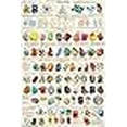 thumbnail image 3 of Picture Peddler Introduction to Minerals Geology Laminated Educational Science Classroom Chart Print Poster 24x36, 3 of 4