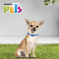 thumbnail image 5 of COLLAR XCH SKY LOOK P/PERRO GALERIA, 5 of 5