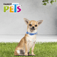 thumbnail image 5 of COLLAR XCH SKY LOOK P/PERRO GALERIA, 5 of 5
