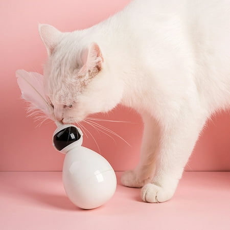 Chat Tumbler Toy Robot Chat Jouet Interactif Chaton Jouer Jouet Chaton Teaser Jouet Walmart Canada Chat Tumbler Toy Robot Chat Jouet Interactif Chaton Jouer Jouet Chaton Teaser Jouet Walmart Canada