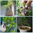 thumbnail image 6 of Uxcell Bonsai Training Wire, Floral Wire Stems Anodized Aluminum Tree Wire for Gardening Branch Fixing Black 2.5mm x 60ft, 6 of 6