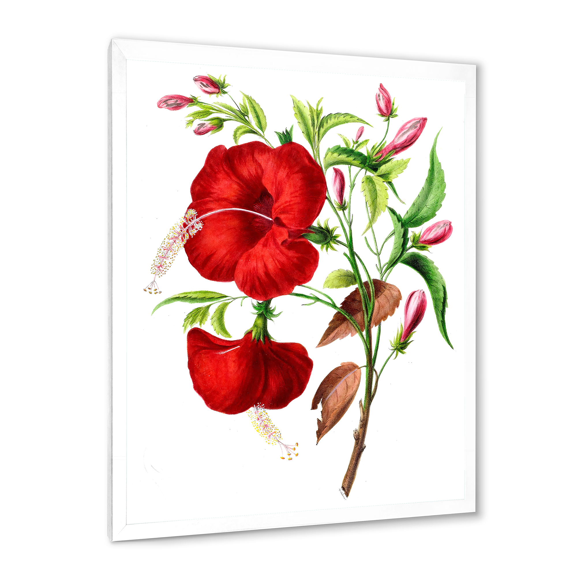 Designart 'Ancient American Flora I' Traditional Framed Art Print