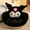 Kuromi A, variant on Sanrio Cartoon Cinnamoroll Winter Plush Half Kuromi My Melody Black Cushion Backrest Dormitory Office Non-slip Chair Cushion Toy