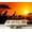 Color 5, variant on Wall Mural Peel and Stick Rome Skyline Italy Self-Adhesive Wallpaper Removable Wall Decal Wall Sticker Home Decor for Living Room Bedroom 69"x96"
