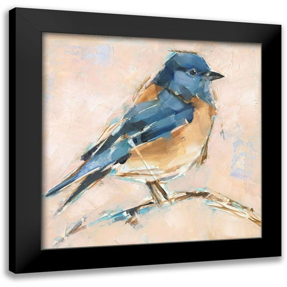 Harper, Ethan 12x12 Black Modern Framed Museum Art Print Titled - Bird Variety III
