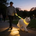 thumbnail image 4 of FeiFu LED Light-Up Dog Leash USB Rechargeable Luminous Traction Rope Adjustable Reflective Pull Strap Glow in the Dark Safety Leash for Night Walking, 4 of 6