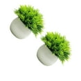 thumbnail image 2 of Plantas falsas en maceta Billuyoard 2 piezas multicolor bajo costo de Mantenimiento estilo alto impacto, 2 of 6