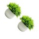 thumbnail image 5 of Plantas de simulación en maceta Cateissary 2 piezas decoración del hogar doble verde 15 cm, 5 of 6