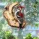thumbnail image 4 of Decoración del hogar, decoración de habitaciones, decoración de paredes, pájaros colgantes de estilo rural, colgante de pared de madera 2D como regalo para los amantes de las aves, artesanía decorativ, 4 of 6