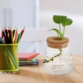 thumbnail image 4 of FENGGUIQU 2Ud Florero De Vidrio Con Base De Madera Para Plantas Hidroponía En Casa, 4 of 8