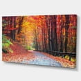 thumbnail image 3 of Designart Road in Beautiful Autumn Forest Canvas Wall Art, 3 of 4