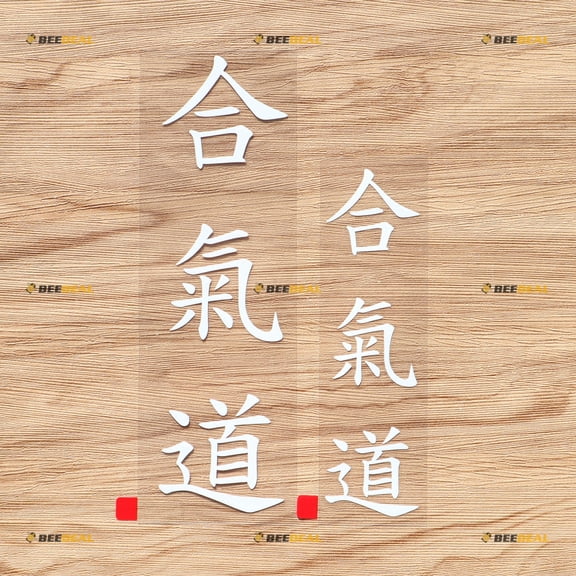 Aikido Kanji Chinese Japanese Combat Decal Vinyl Sticker - 2 Pack White, 6 Inches, 8 Inches - No Background for Car Boat Laptop