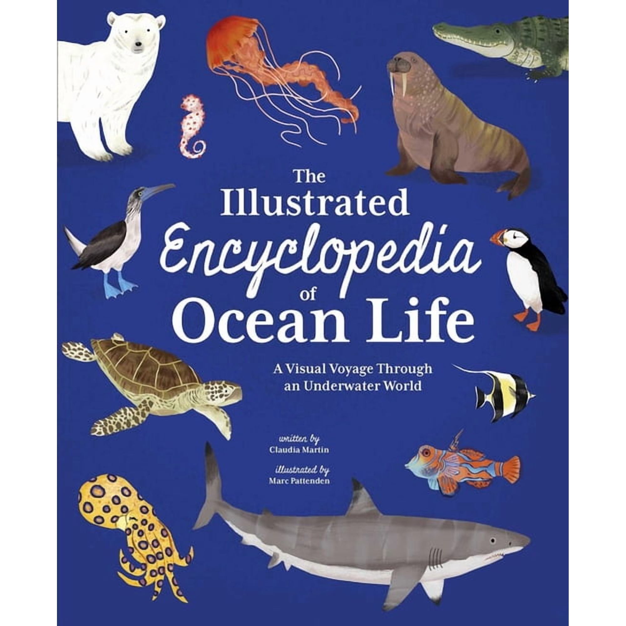 The Illustrated Encyclopedia of Ocean Life: A Visual Voyage Through an Underwater World, (Hardcover)
