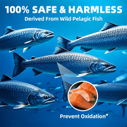 Omega 3 Fish Oil | EPA & DHA | Omega 3 Fatty Acids | Premium Burpless Softgel Supplements (120 Count)