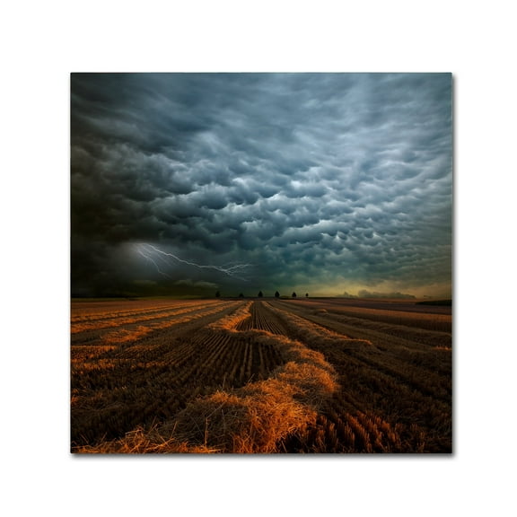 Franz Schumacher 'Mammatus' Canvas Art