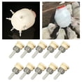 thumbnail image 4 of Paquete de 10 Tetinas de Cordero Sunnimix para lactancia Accesorios para perros, 4 of 8