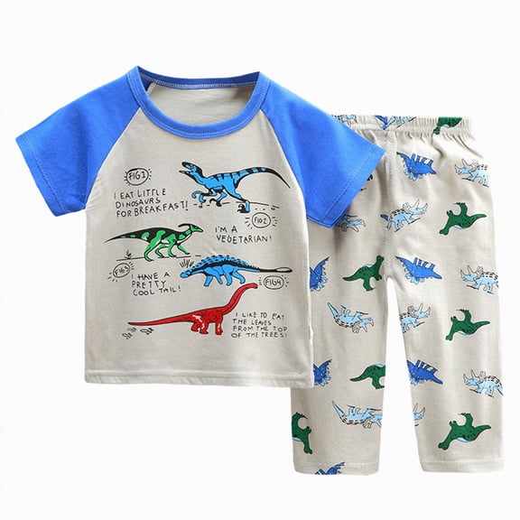 TOWED22 Newborn Infant Baby Boy Clothes 2 Pieces Crewneck Short Sleeve Raglan Tee Top Dinosaur Print Elastic Waist Pocket Shorts Outfits(Blue,1-2 Y)
