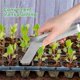 thumbnail image 5 of 2 Pcs Seedling Transplant Tongs- 8.7 Inch Stainless Steel Gardening Plants Transplant Tongs- Seedling Remove Transplant, 5 of 5