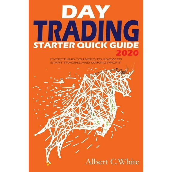 Day Trading Starter Quick Guide 2020 : Everything You Need to Know to Start Trading and Making Profit (Paperback)