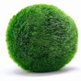 thumbnail image 4 of 10 Marimo Moss Balls 2.5 cm, Simulated Green Algae Ball, 4 of 5
